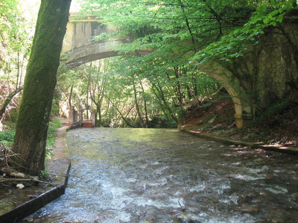 الشقق الفندقية مونتيلافي  Parco Sogni D'Oro الغرفة الصورة